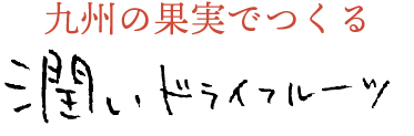 九州の果実で作った潤いドライフルーツ